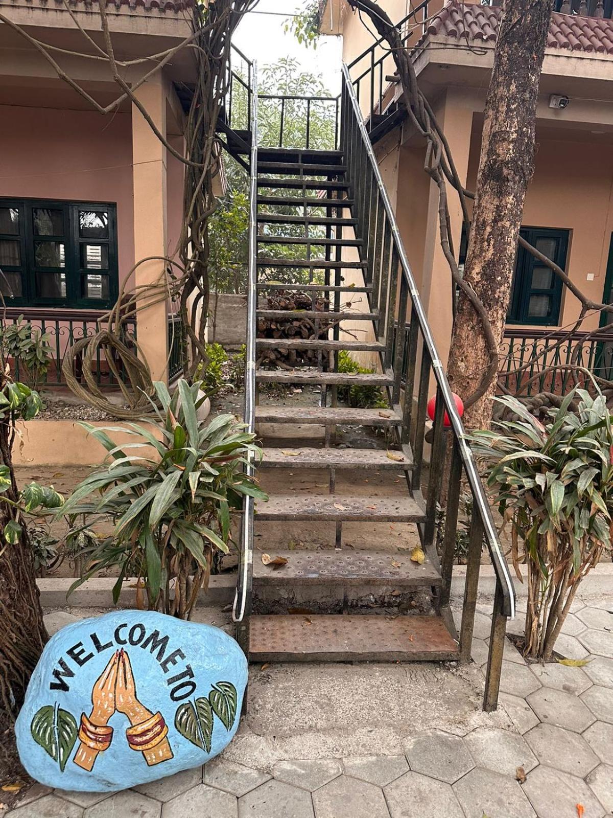 סאורהה Wild Horizons Guest House מראה חיצוני תמונה