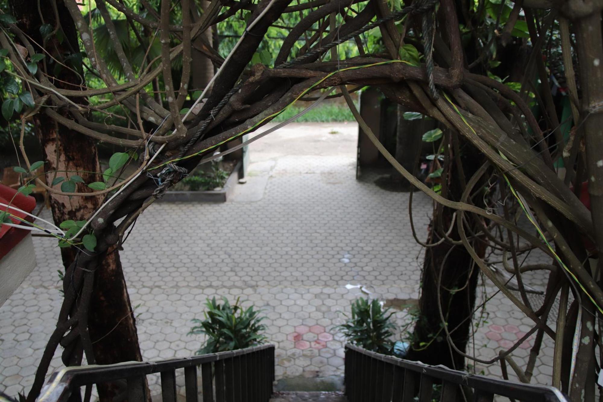 סאורהה Wild Horizons Guest House מראה חיצוני תמונה